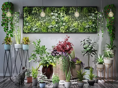 Various Indoor Bonsai And Potted Plants With Green Wall Hanging Planters And Decorative Pots 3d model