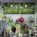 Various Indoor Bonsai And Potted Plants With Green Wall Hanging Planters And Decorative Pots