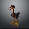 Fantasy Mythical Bird With Large Orange Red Beak Black Brown Feathers And Orange Claws