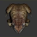 Frog Poison Frog Game Frog Reptile Cold Blooded Animal Reptile 3d model