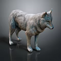 Gray Wolf 3D Model With Lifelike Gray Fur Standing On Dark Background 3d model
