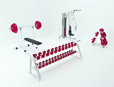 Modern Fitness Equipment Fashion Fitness Equipment 3d model
