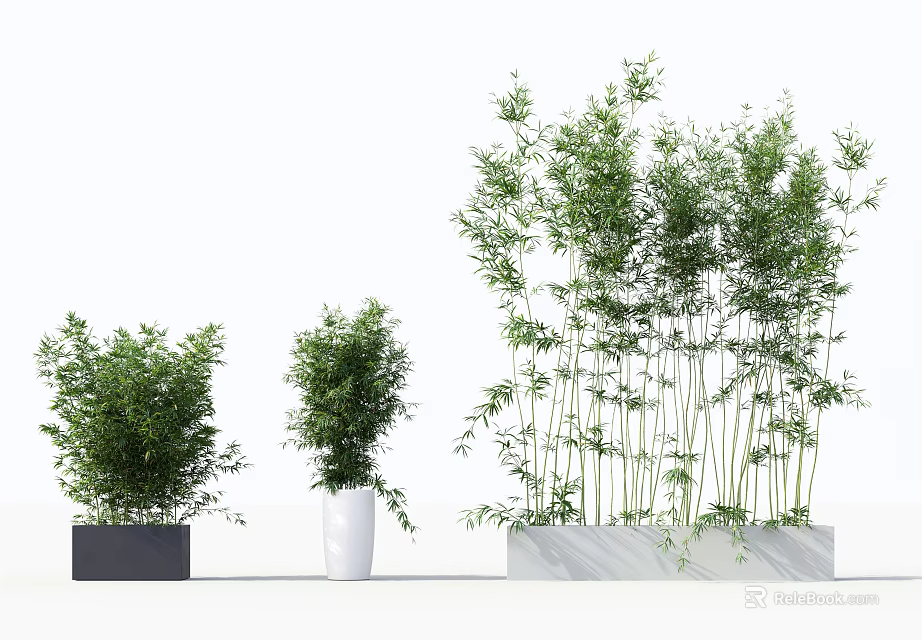 Various Types of Bonsai Potted Plants in Black White and Marble Pots 3d model 