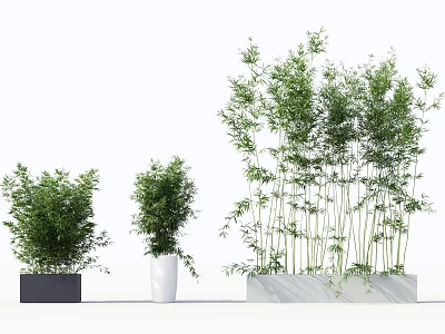 Various Types of Bonsai Potted Plants in Black White and Marble Pots 3d model