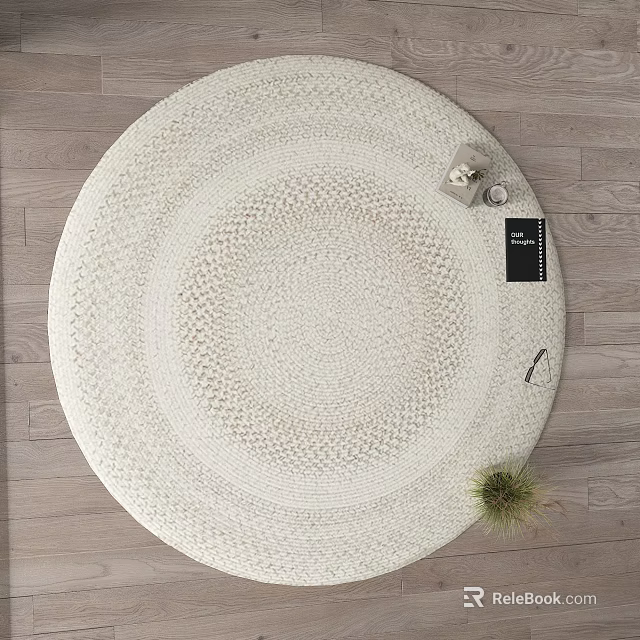 Round White Woven Rug on Wooden Floor with Decorative Items and Small Plant 3d model 