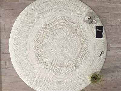 Round White Woven Rug on Wooden Floor with Decorative Items and Small Plant 3d model