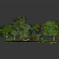 Natural Landscape Scene With Lush Green Trees Grassy Area Small Bridge And Stream