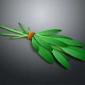 Fresh Green Leafy Plant Bundled With Orange Elastic Band And Vibrant Foliage