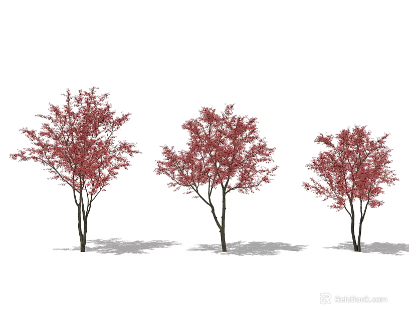 Three Arbor Trees with Red Leaves and Trunks Standing on White Background with Shadows 3d model