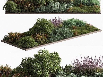 Outdoor Green Plant Shrub Flower Pond 3d model