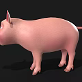 Cute Cartoon Pink Pig 3D Model With Big Ears And Blue Eyes On Black Background