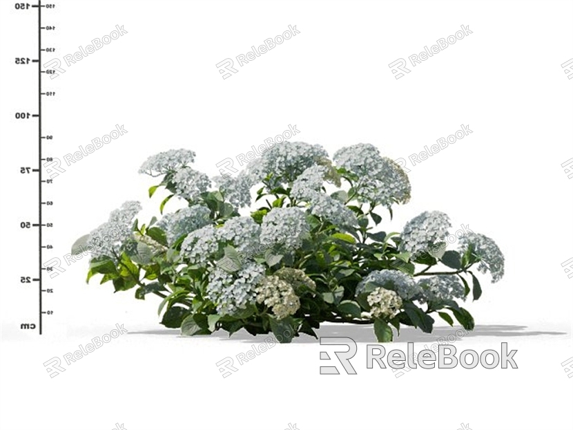 Modern Hydrangea model