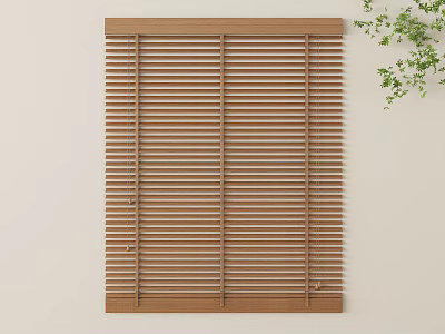 Wooden Blinds Mounted On Light Colored Wall With Green Plant Branch 3d model