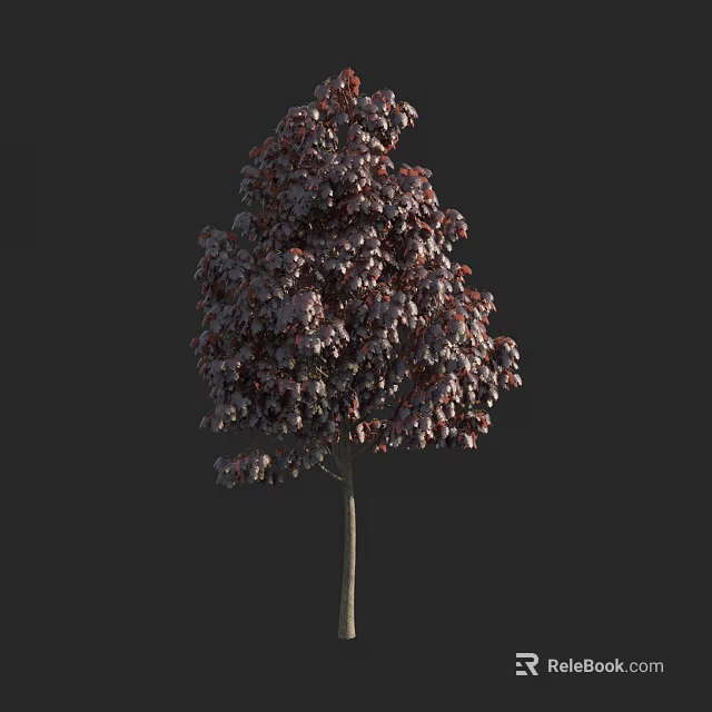 Purple Leaf Tree With Dense Foliage And Slender Trunk In Landscape 3d model 