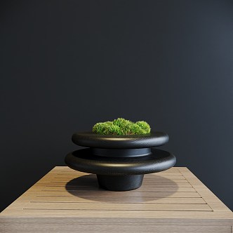 Moss Bonsai 3d model