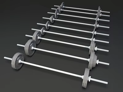 Multiple Gym Barbells With Weight Plates Neatly Arranged For Fitness Training Equipment 3d model