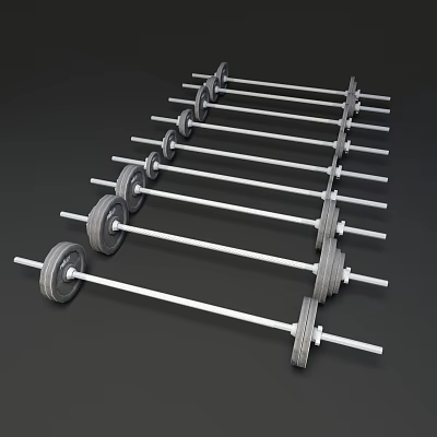 Multiple Gym Barbells With Weight Plates Neatly Arranged For Fitness Training Equipment 3d model