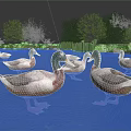 Ducks Swimming In Natural Water With Green Trees And Reflections