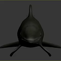 Gray Dolphin Model With Streamlined Body Fins Tail And Reflective Surface 3d model
