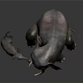 Adult Elephant And Baby Elephant Standing Together On Dark Background