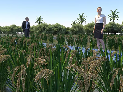 Rural Landscape With Rice Fields People On Pathway Palm Trees Green Trees And Blue Sky 3d model