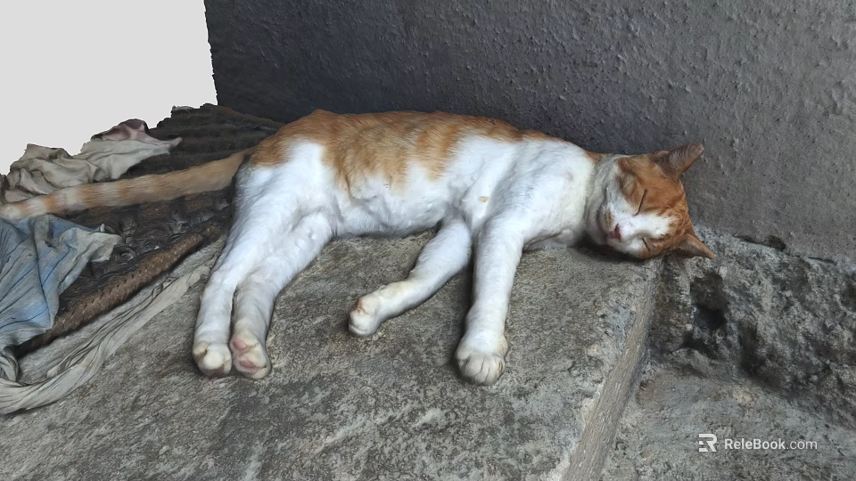 Orange and white cat sleeping peacefully on rough stone platform outdoors 3d model 