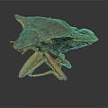 Detailed Close Up View Of A Realistic Prehistoric Insect Model Sculpture