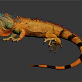 Lizard Anime Lizard Cartoon Lizard Reptile Cold Blooded Animal Reptile 3d model