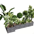 Diverse Green Plant Combination with Various Leaf Shapes in Gray Rectangular Planters