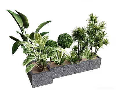 Diverse Green Plant Combination with Various Leaf Shapes in Gray Rectangular Planters 3d model