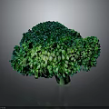Vibrant Fresh Green Broccoli Florets Close Up View Isolated On Dark Background