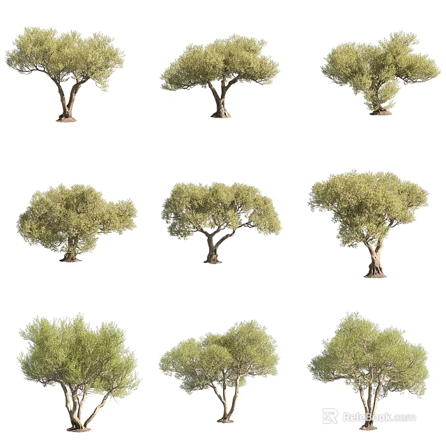 Various Green Arbor Trees With Different Trunk Shapes And Foliage Forms 3d model