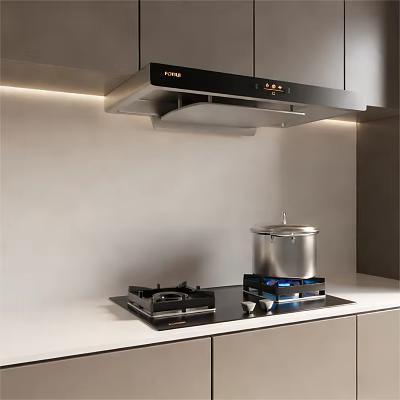 Modern Kitchen With FOTILE Range Hood Gas Stove White Countertop And Gray Cabinets 3d model