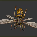 Detailed View Of Wasp With Spread Wings And Yellow Black Stripes On Dark Background