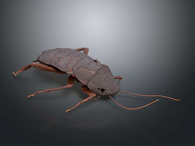 Detailed Realistic Cockroach Model With Segmented Body And Long Antennae 3d model
