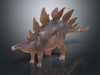 3D Stegosaurus Dinosaur Model With Detailed Back Plates Tail Spikes And Skin Texture 3d model