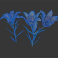 Orange Lilies in a Vase with Green Stems Leaves and Dark Background Reflection