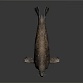 Realistic Seal 3D Model With Brownish Spotted Texture And Sleek Body On Dark Background