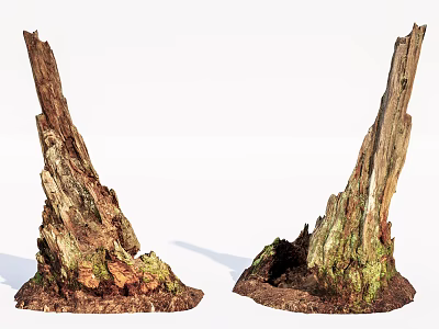 Natural Stone And Wood Weathered Tree Stumps With Rustic Textured Surfaces 3d model