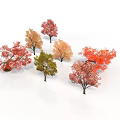 Vibrant Trees With Different Colored Red Orange Yellow Green Leaves On White Background