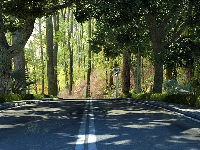 A Scenic Road Through Lush Green Forest With Tall Trees 3d model