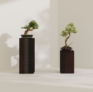 New Chinese Potted Plant 3d model