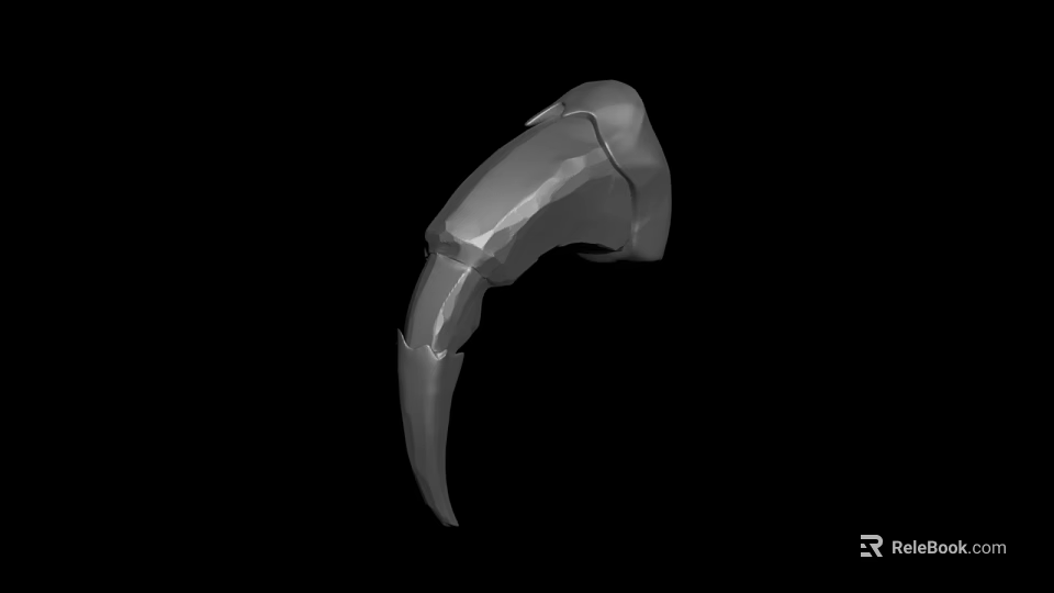 Detailed Metallic Claw 3D Model With Smooth Surface And Sharp Tip 3d model 