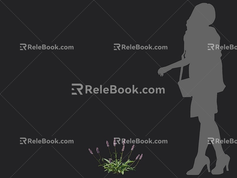 Boxing ginseng flowers wild flowers weeds common flowers grass weeds grass grass grass grass lawn 3d model