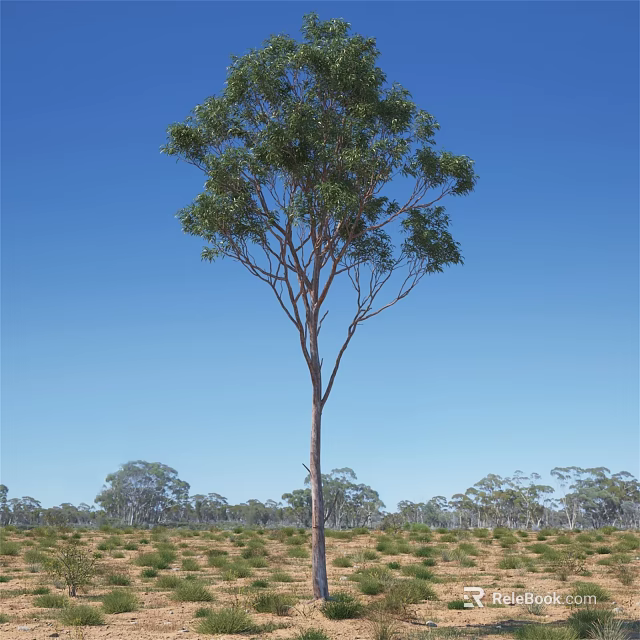 Tall Tree with Lush Green Leaves against Clear Blue Sky in Grassland with Surrounding Trees 3d model 