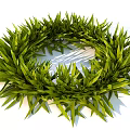 Fresh Green Grass Leaves Forming Circular Wreath With Natural Foliage And Lush Texture