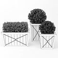 Decorative Green Round Bonsai Potted Plants in Wooden Planters with Cross Design