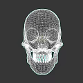 White Human Skull Model with Detailed Anatomical Structure Isolated on Dark Background 3d model