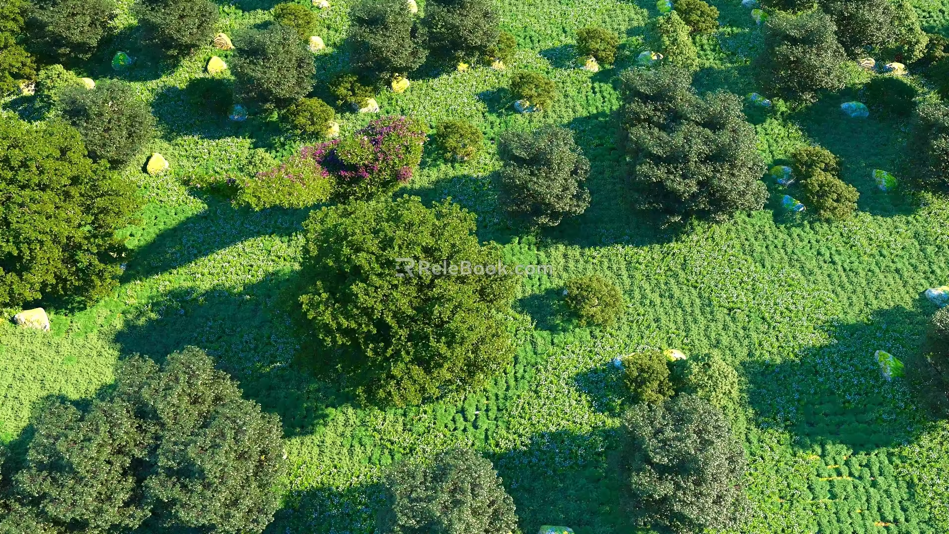 Modern Tree Big Tree Shrub 3d model