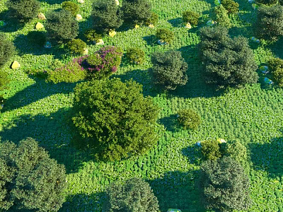 Arbor Trees Growing In Lush Green Grassland With Shrubs And Natural Scenery 3d model